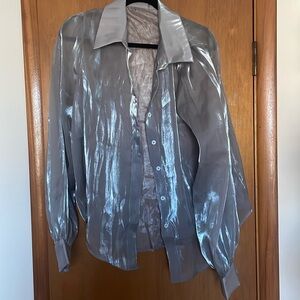 Iridescent Sheer Blouse